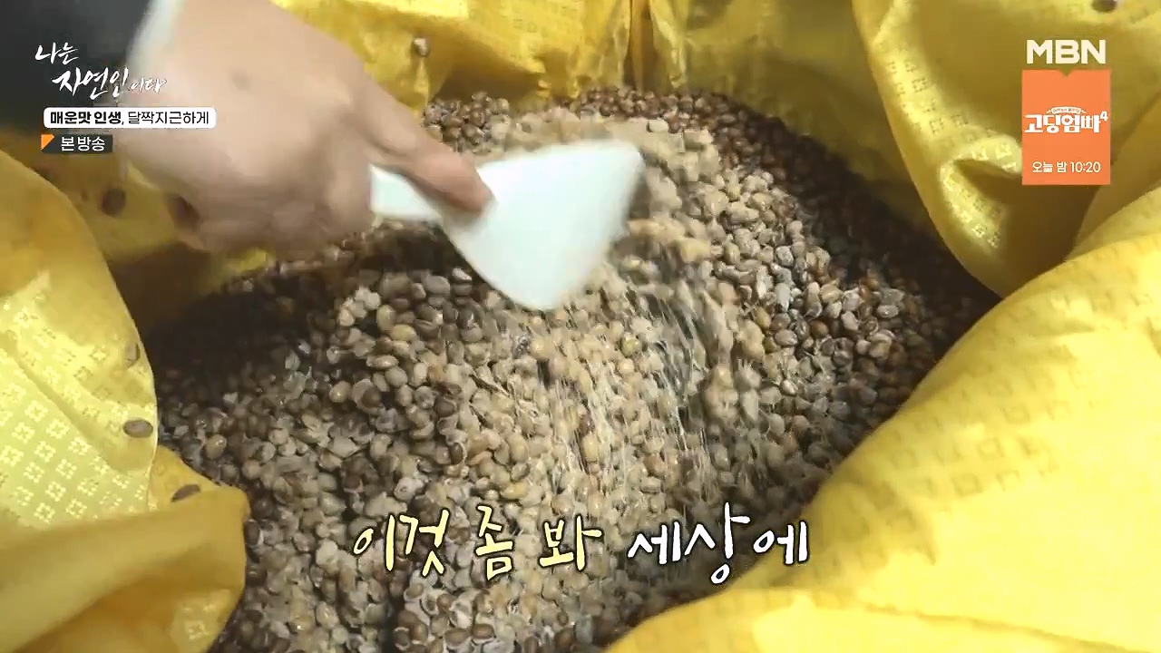 나는 자연인이다.E585.231221p-NEXT.mp4_20231221_195613.069.jpg