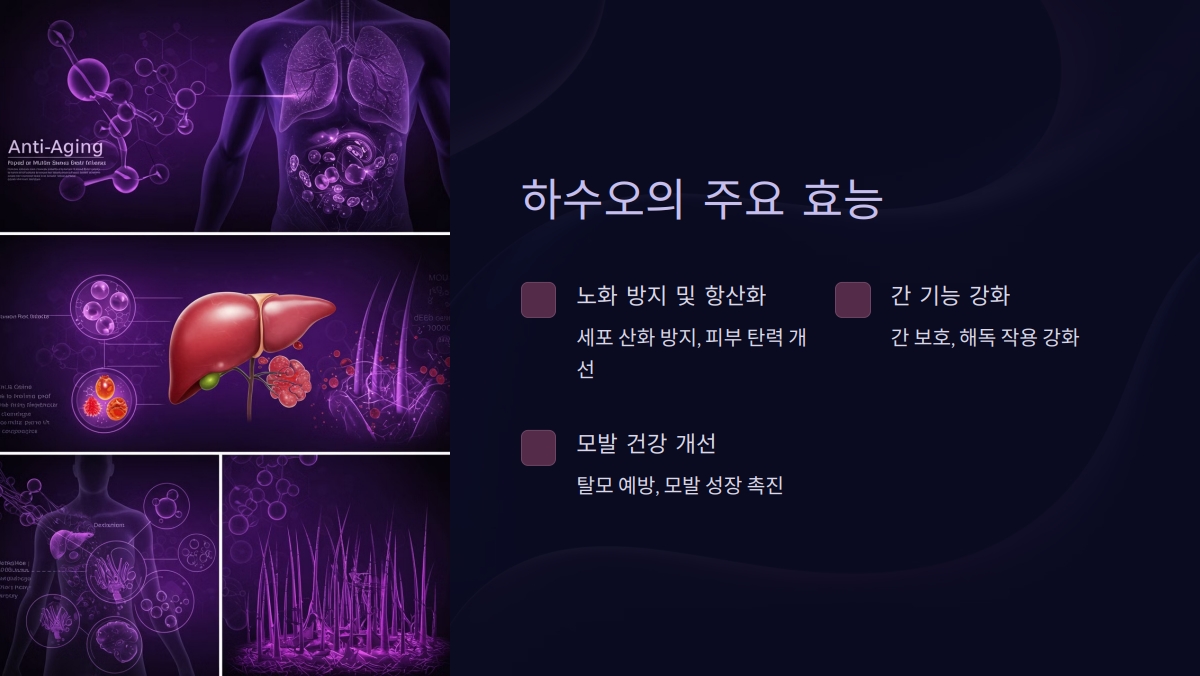 하수오 효능