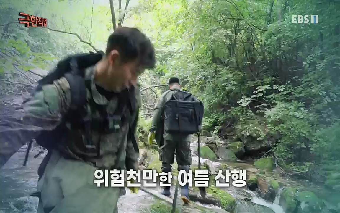 TV - 교육의 중심 EBS바다와 산의 여름 보물, 갯바위 미역 & 꽃송이버섯.mp4_20220828_145307.195.jpg