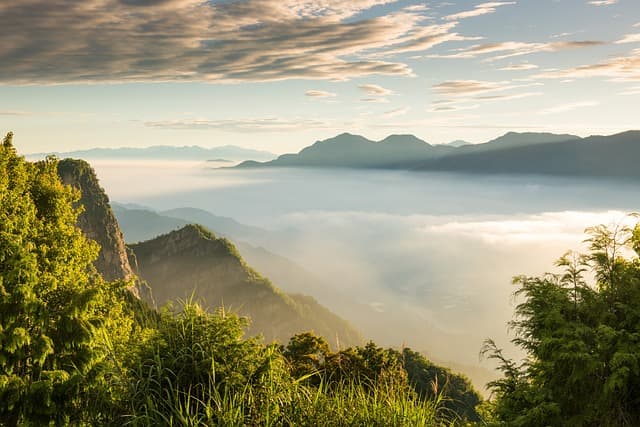 알리산 (阿里山, Alishan) 여행 가이드