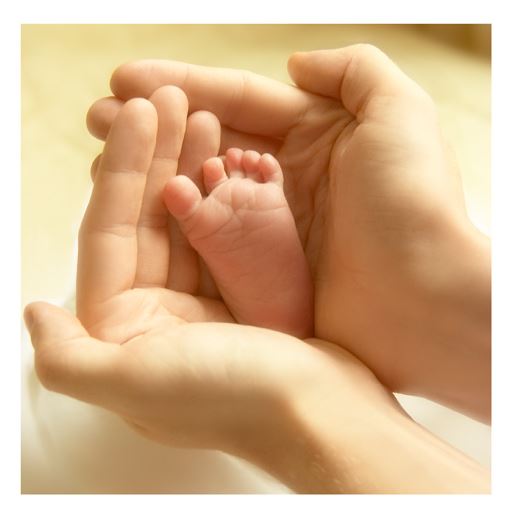  선천성 기형아  다운증후군 검사