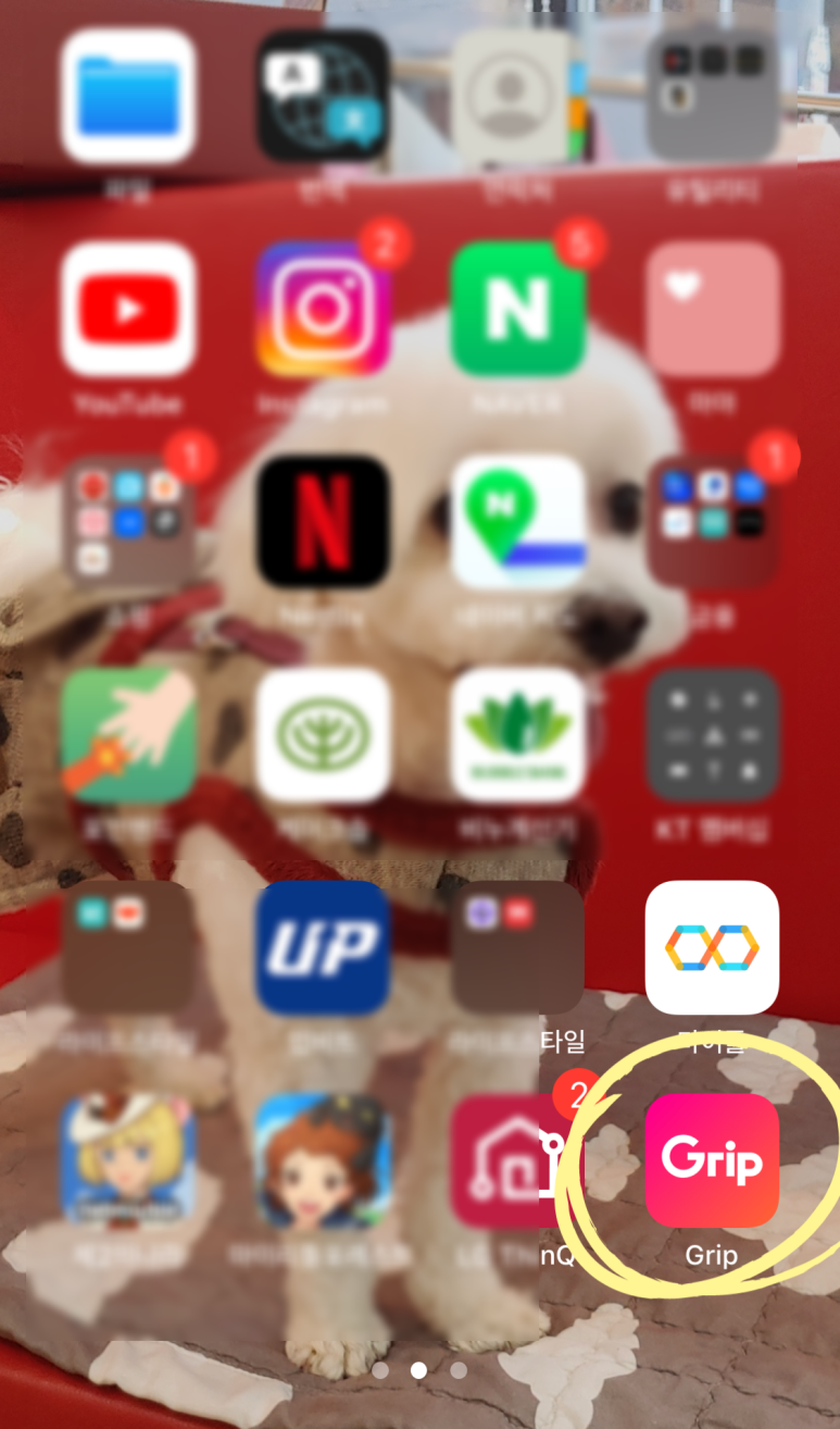 라이브 커머스 플랫폼 국내 최초 라이브 커머스 플랫폼그립grip으로 특가 구매 18