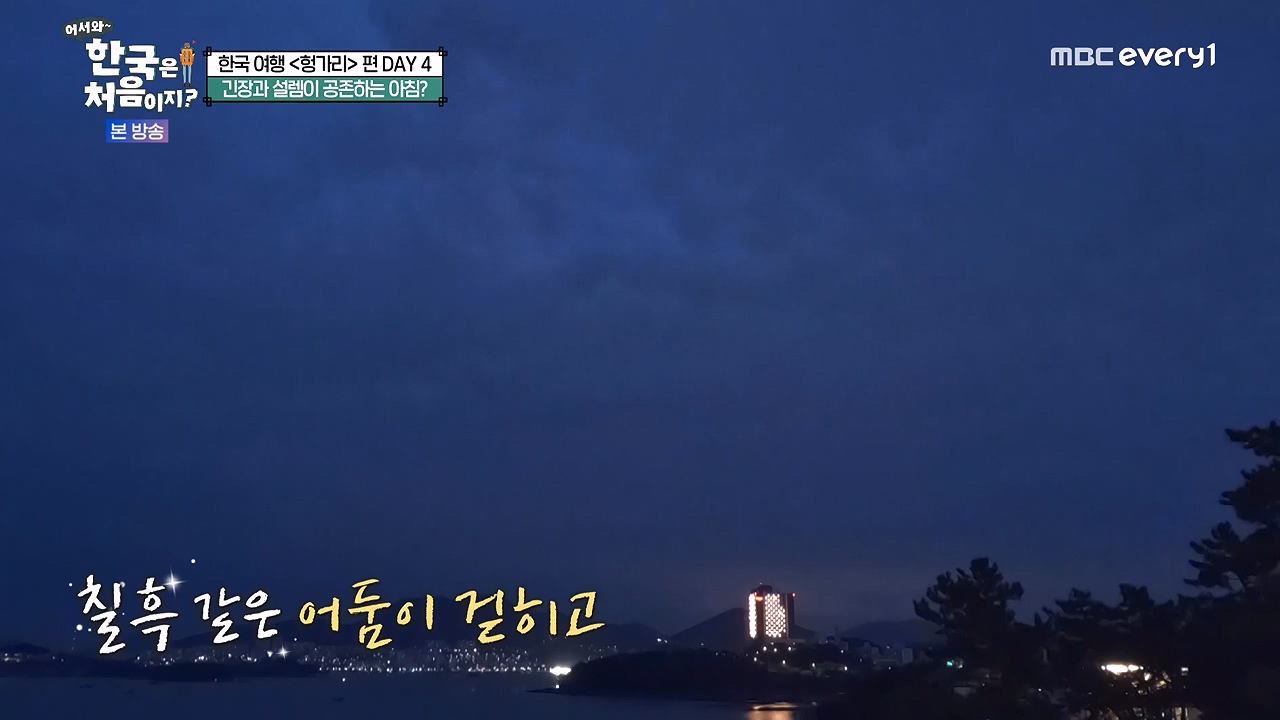 어서와 한국은 처음이지 시즌2.E319.240621p-NEXT.mp4_20240621_202652.872.jpg