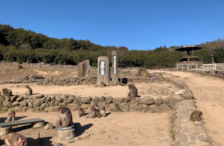 뚜벅이 이미지