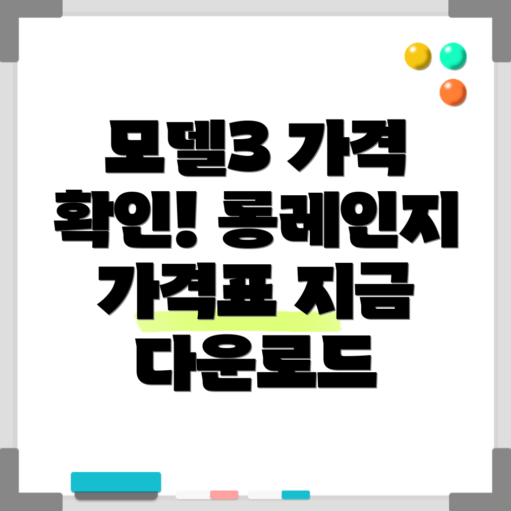 테슬라 모델3 롱레인지 가격