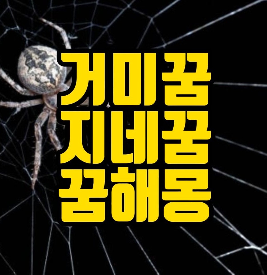  [꿈해몽] 거미꿈, 거미줄꿈,지네꿈 관련 꿈풀이 15선