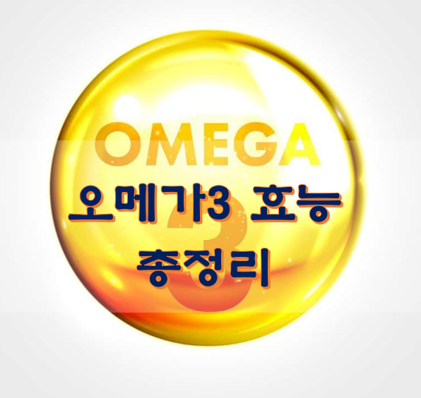  오메가3 효능 총정리