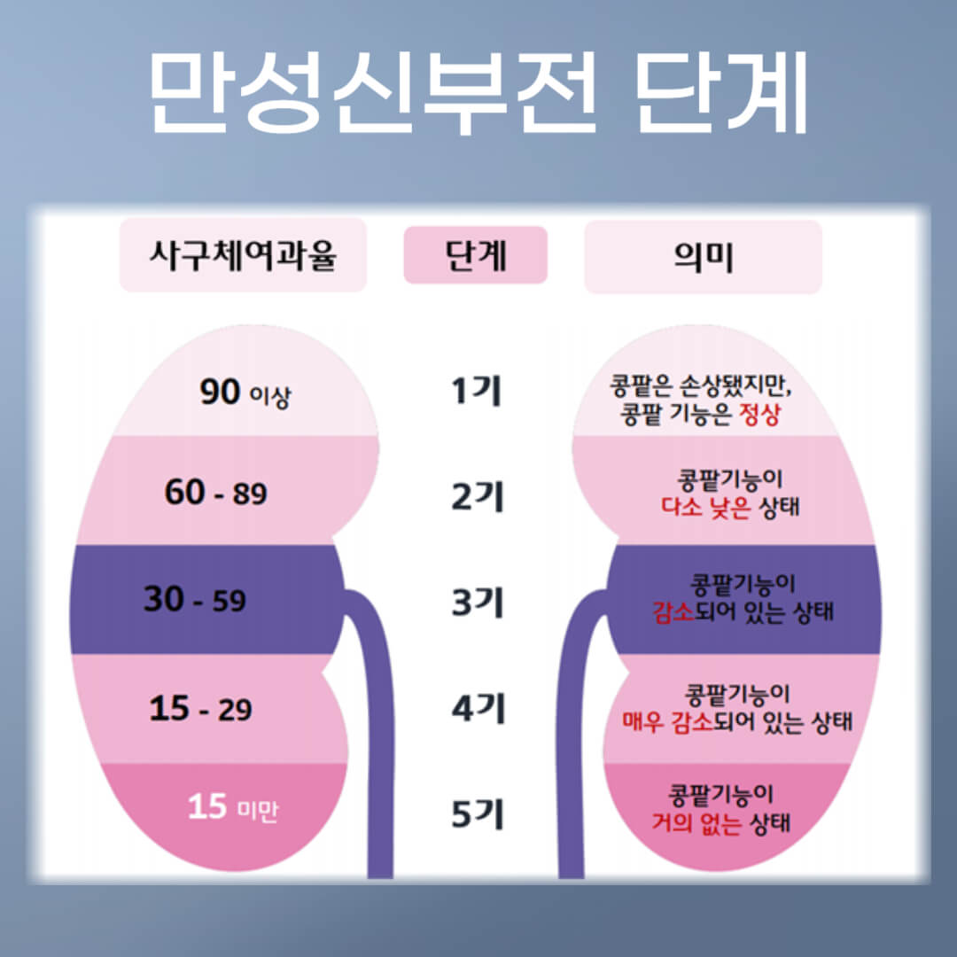 만성신부전 단계