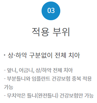 노인 임플란트 지원