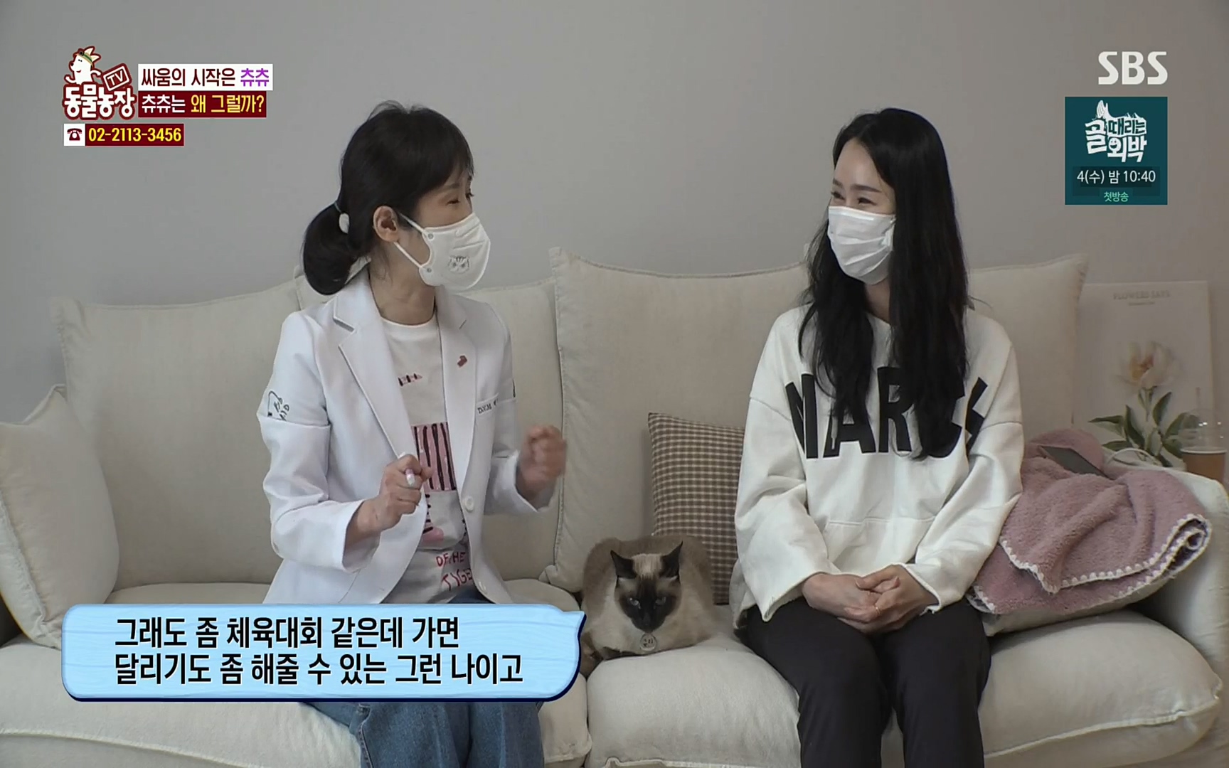 TV 동물농장.E1067.220501p.H264-F1RST.mp4_20220501_182808.149.jpg
