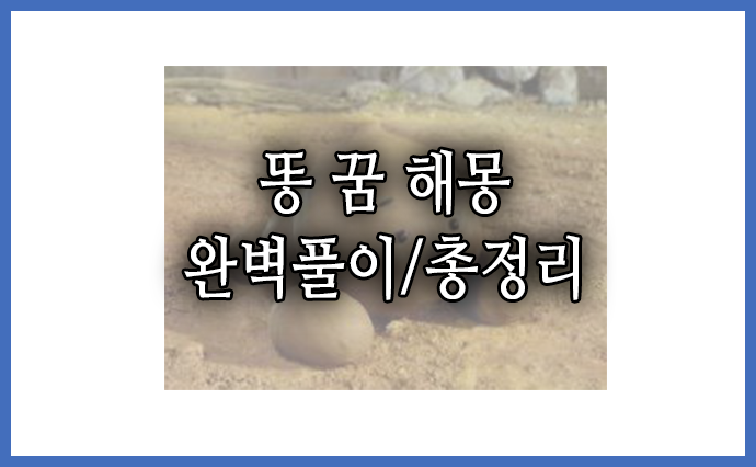  [똥 꿈 해몽] 48가지 총정리, 완벽풀이