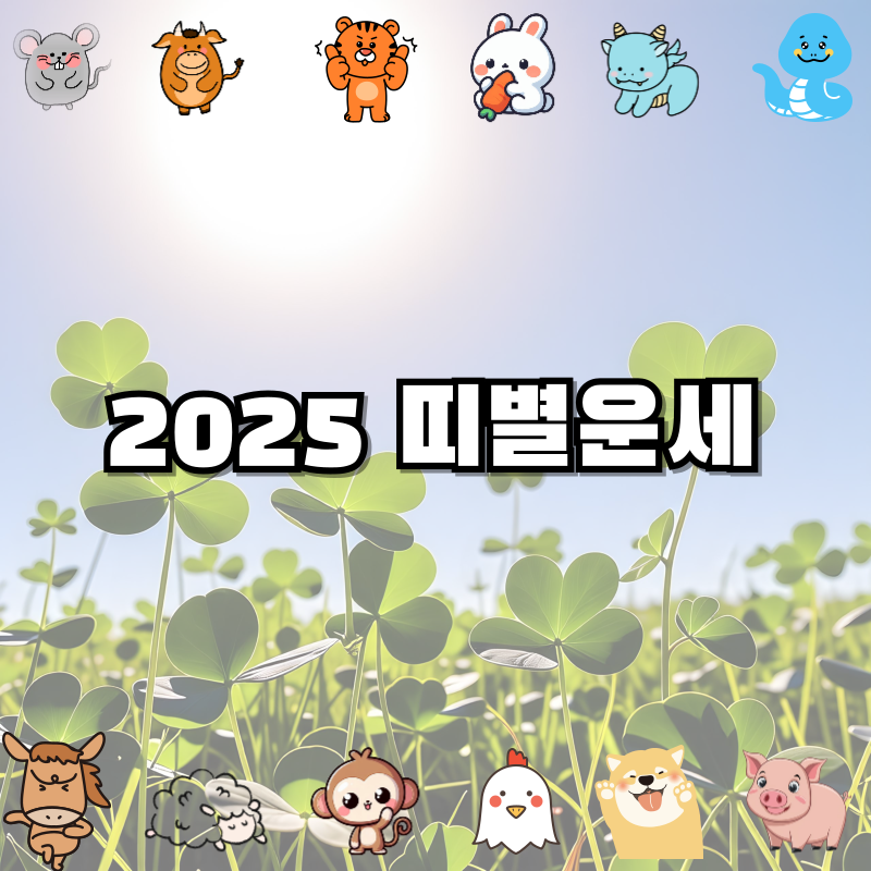 🔮 2025년 5월 2일 띠별 운세 🌟 오늘의 운세