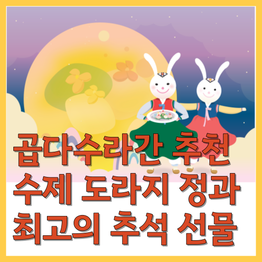  곱다수라간 추천 수제 도라지 정 2종류 최고의 추석 선물