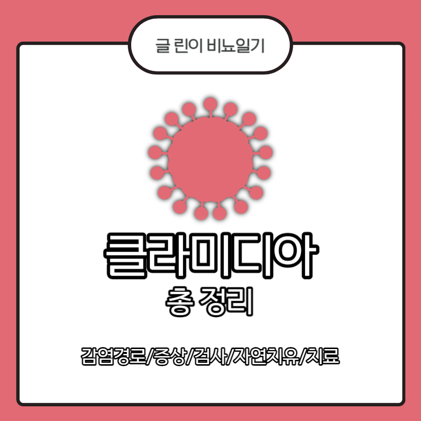  클라미디아 총 정리 : 감염경로/증상/검사/자연치유/치료