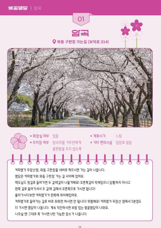 벚꽃-명당-암곡