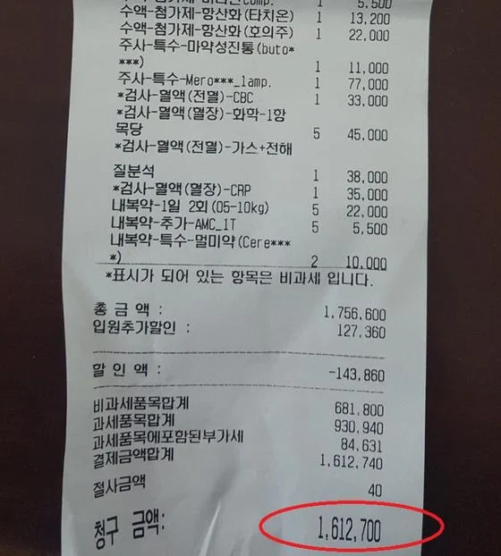  췌장염 걸린 강아지 5일 입원 병원비