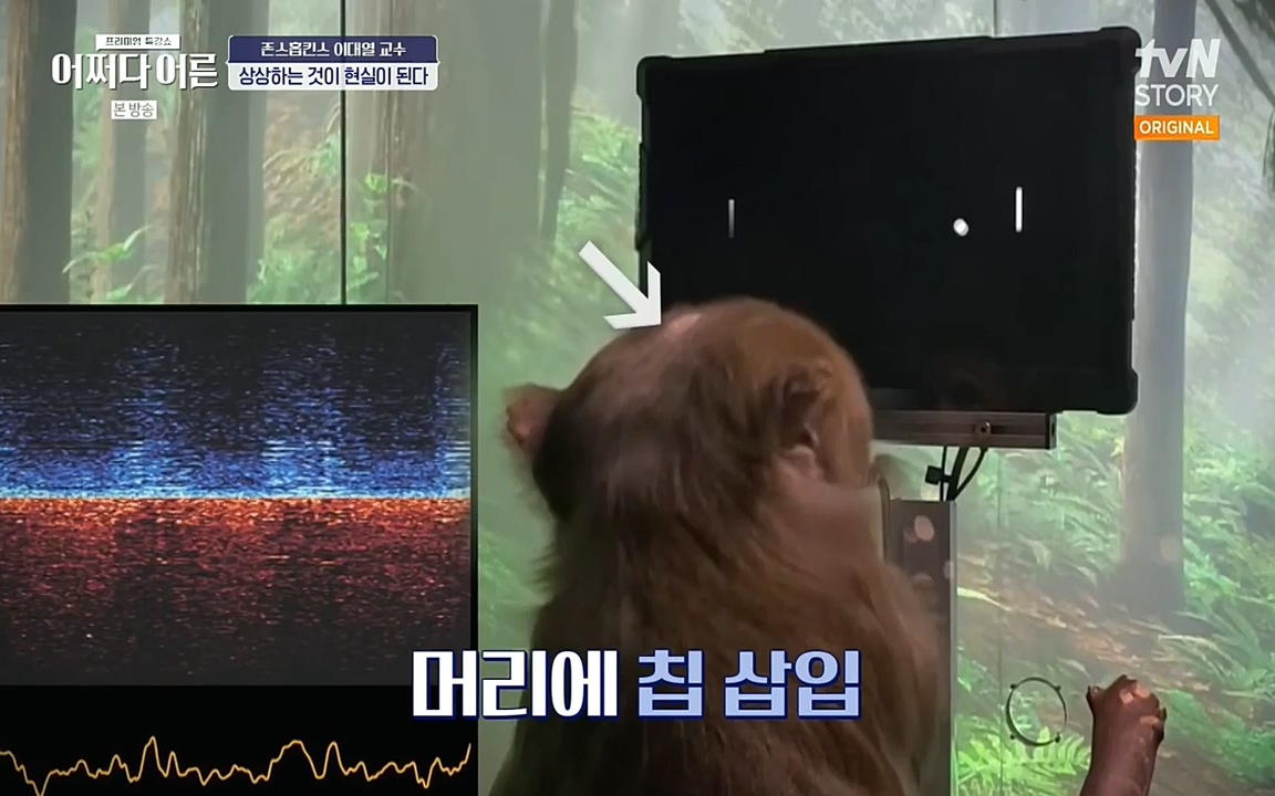 어쩌다 어른.E06.220715p-NEXT.mp4_20220912_142326.543.jpg