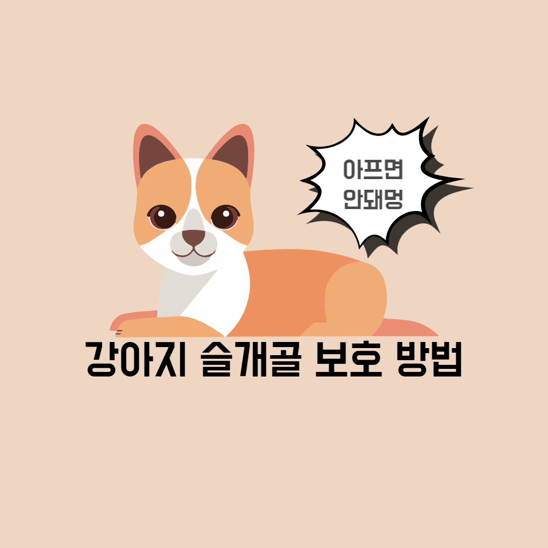 강아지슬개골보호 강아지 매트