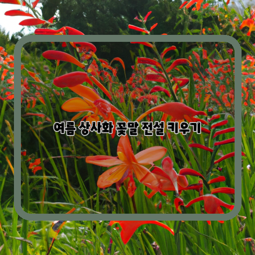  여름의 화려한 상사화, 전설적인 꽃말과 함께 성장하는 법