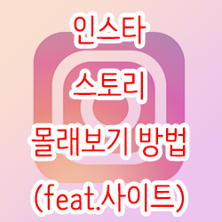  인스타 스토리 몰래보기 방법(feat.사이트)
