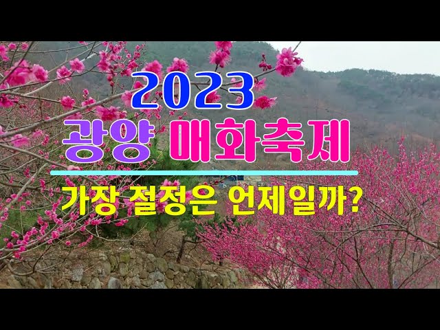 광양3