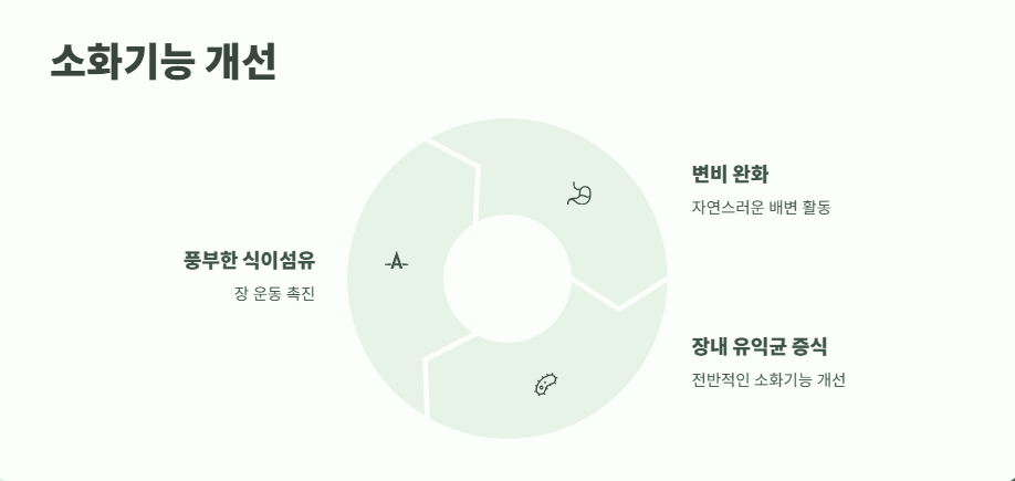 보리수 열매 효능 7