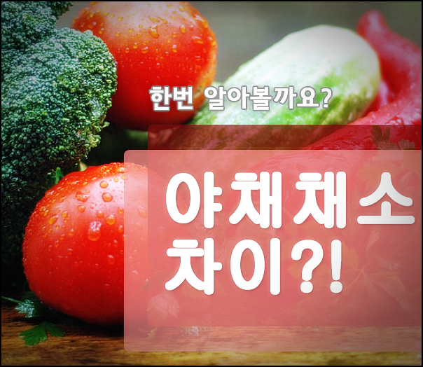  야채 채소 차이 같은건줄 아셨죠?!