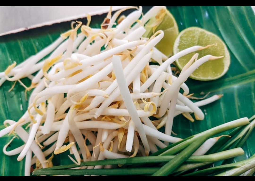 숙주사진