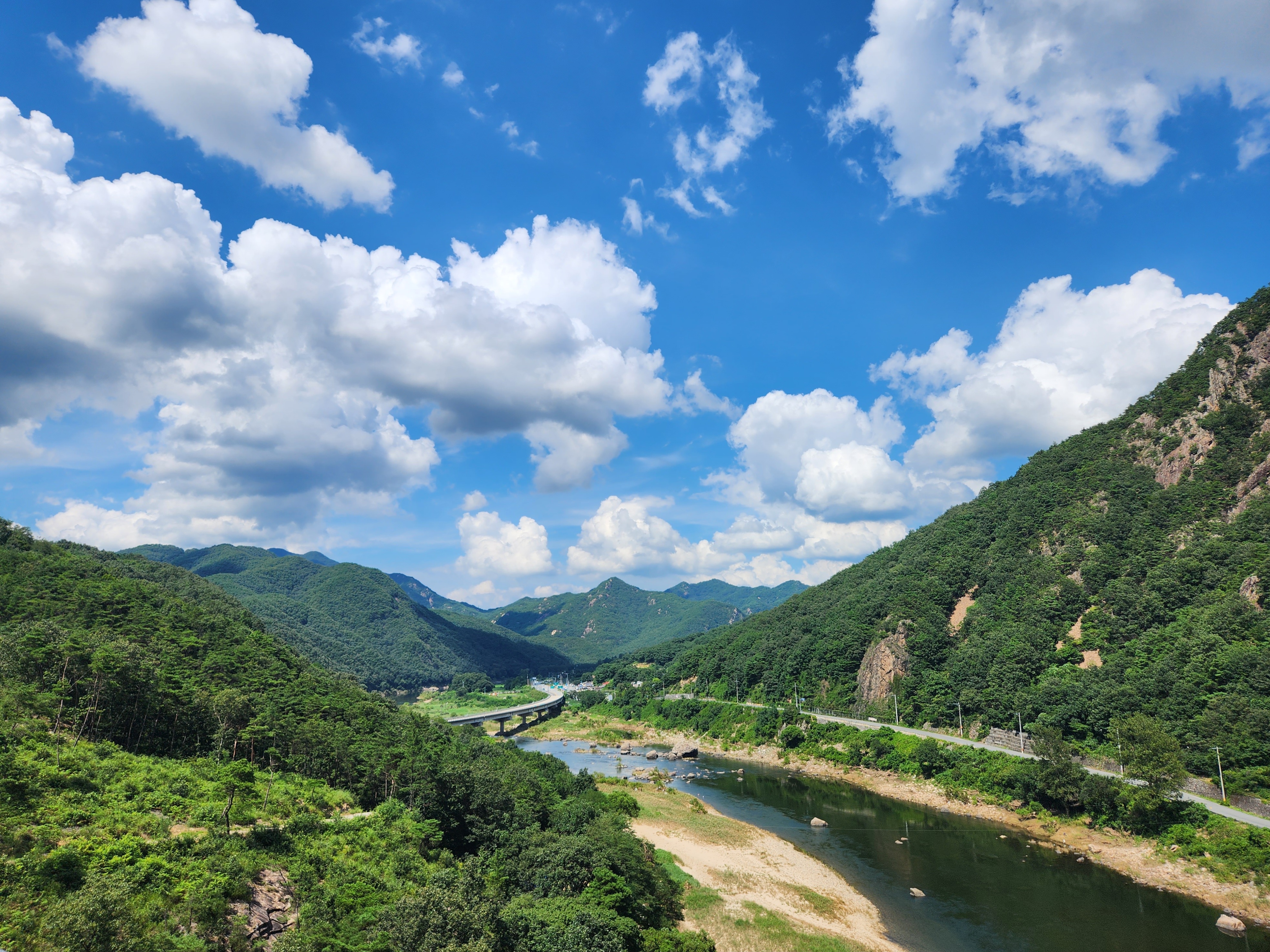 금산 가볼만한 곳 월영산 출렁다리