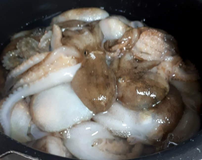 자연 피로 회복 복족류 낙지의 이점 및 부작용