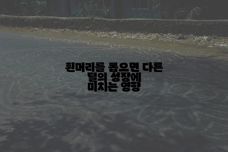 흰머리를 뽑으면 다른 털의 성장에 미치는 영향