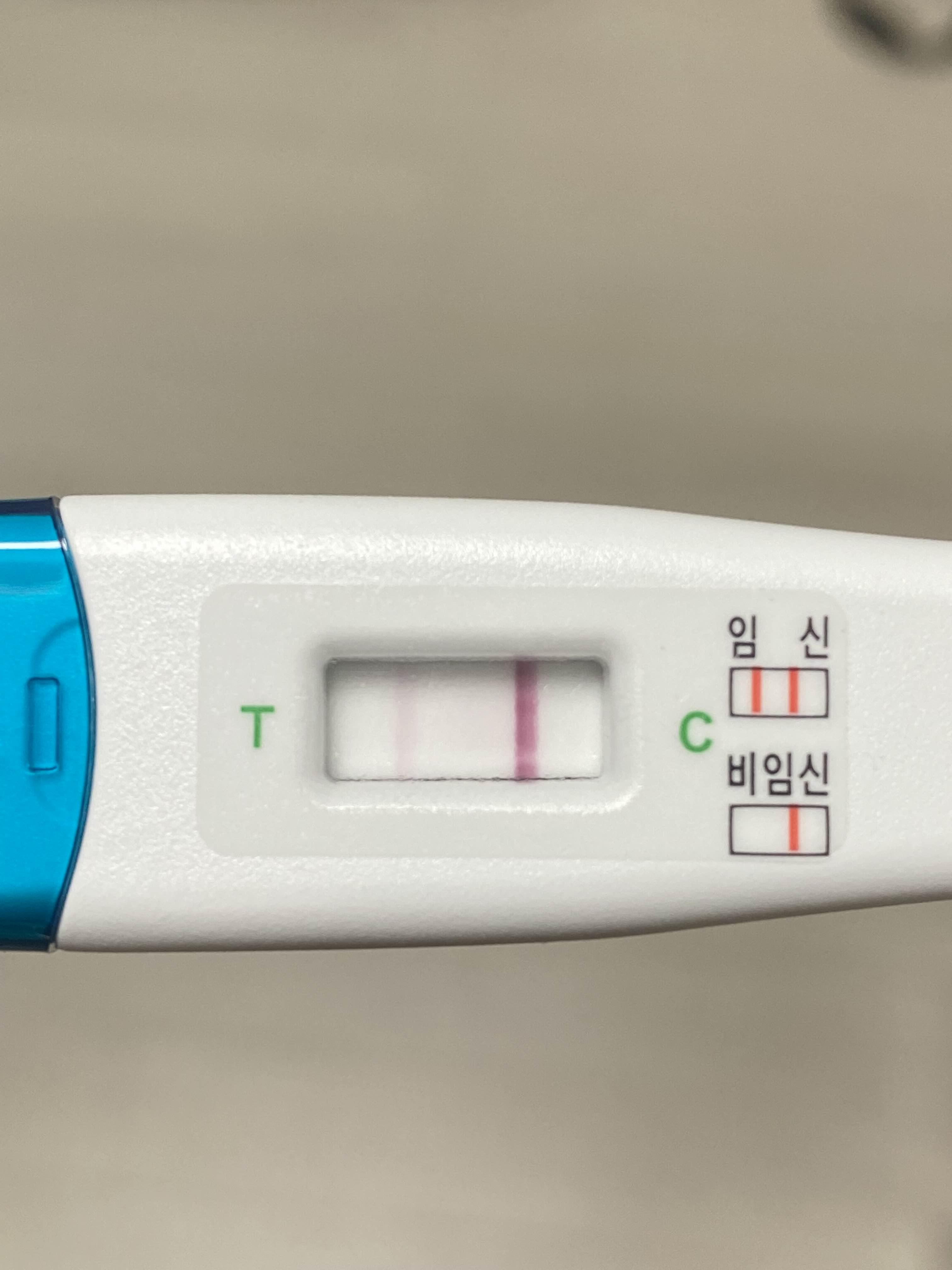 5일배양7일차
