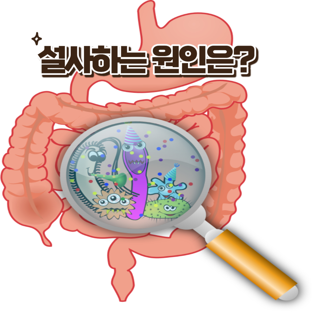  설사하는 원인에는 뭐가 있을까?