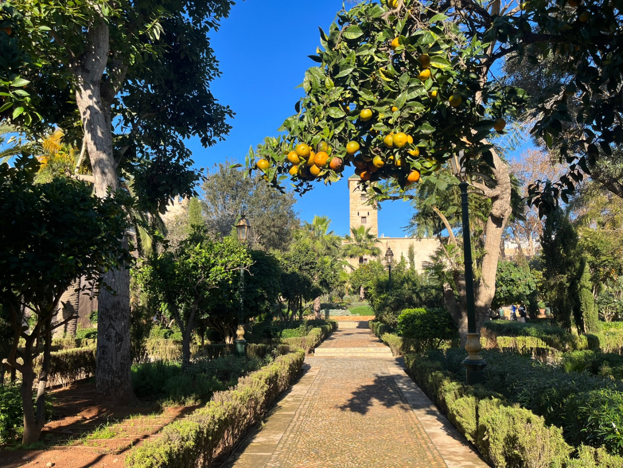 모로코 라바트의 안달루시아 정원. 프랑스 보호령 기간(1912-1956)에 프랑스인이 설계한 이 정원은 Kasbah des Oudaias 내에 있습니다. 감귤류 나무, 높은 야자수, 활기찬 부겐빌레아로 가득한 이곳은 멋진 그늘진 휴양지를 만듭니다.