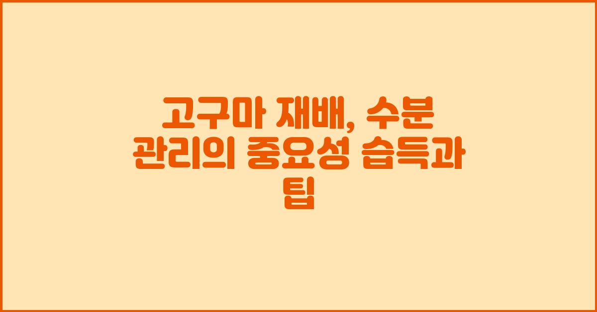 고구마 재배: 수분 관리의 중요성 습득