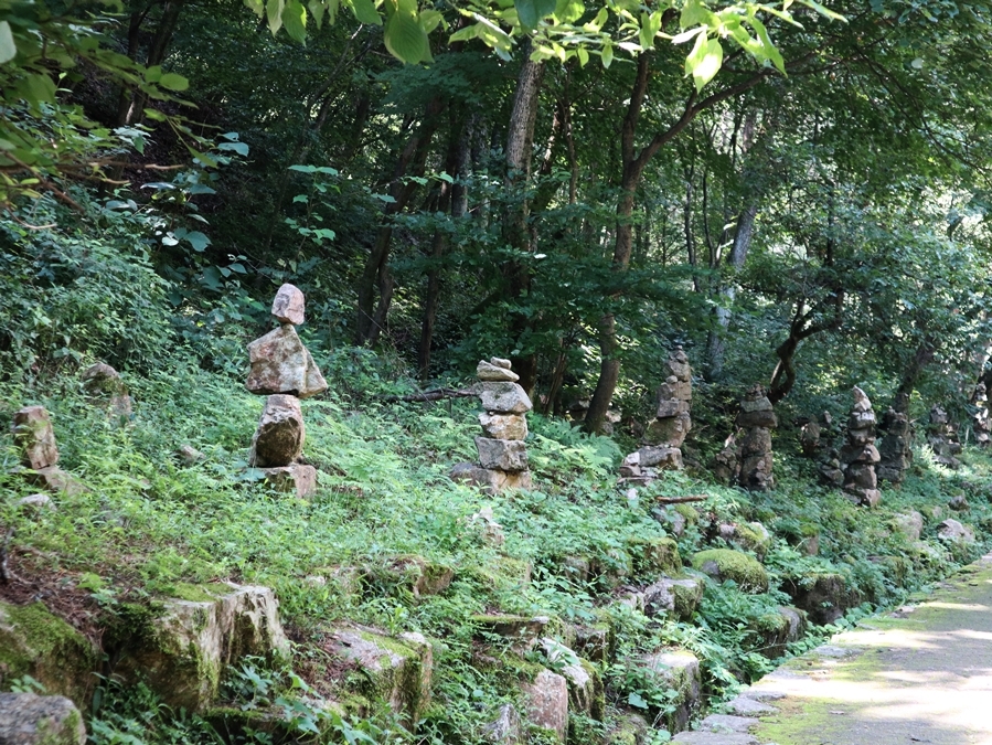 테마숲-다섯번째길_01