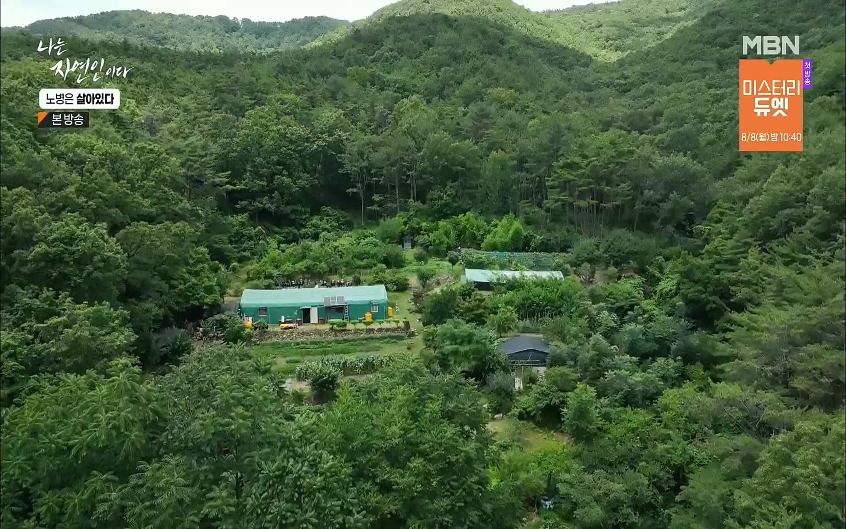 나는 자연인이다.E512.220727p.H264-F1RST.mp4_20220728_200910.115.jpg