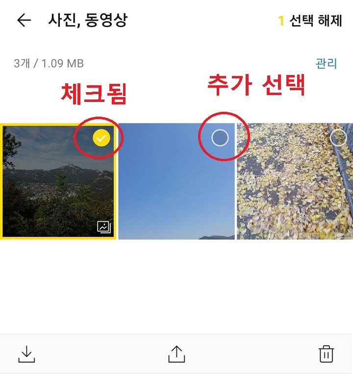 추가로 저장한 사진 선택함