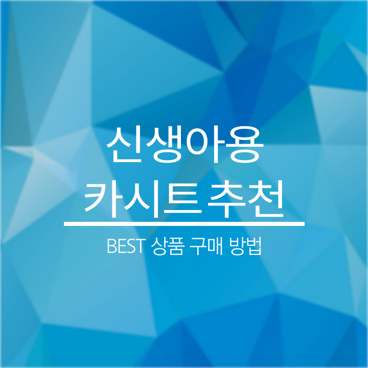 신생아용 카시트 추천