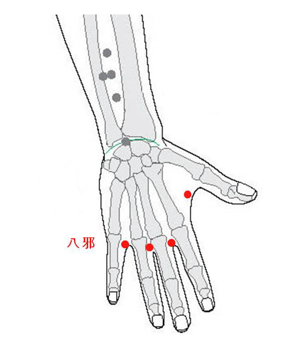 경외기혈(EX) > EX-UE9 팔사 (八邪) 1