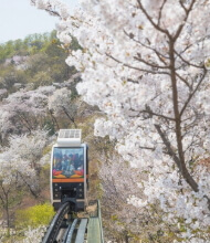 화담숲 예약방법
