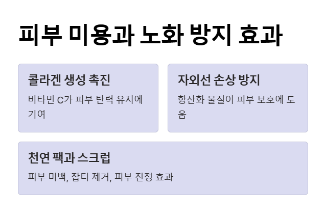 레몬껍질 효능&amp;#44; 피부 미용과 노화방지