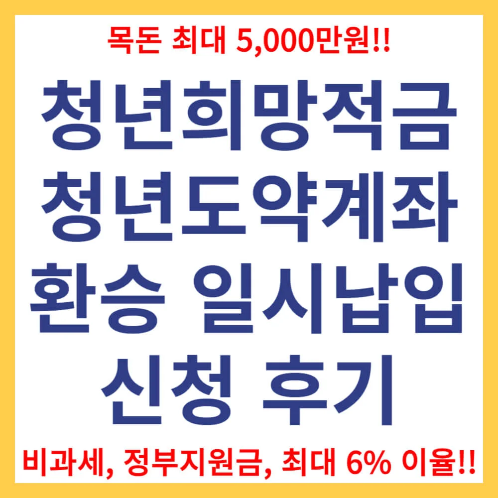 청년희망적금 청년도약계좌 환승 가입조건 일시납입 갈아타기 신청기간 신청방법 후기