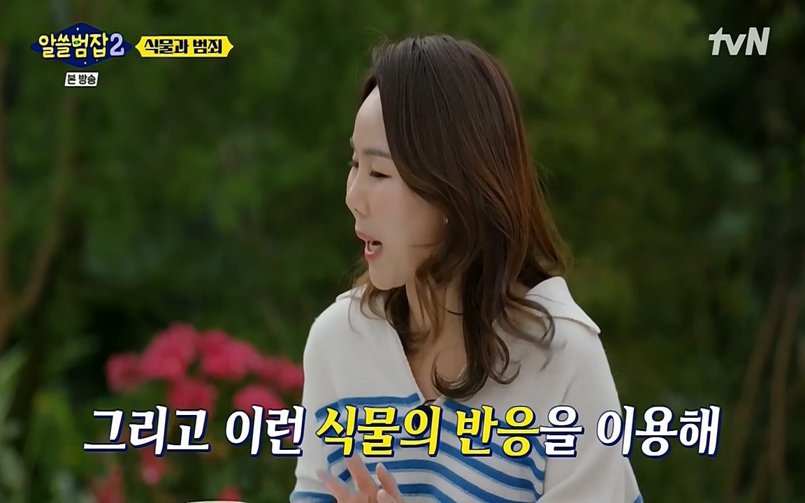 알쓸범잡 2.E15.220425p-NEXT.mp4_20220425_174720.422.jpg