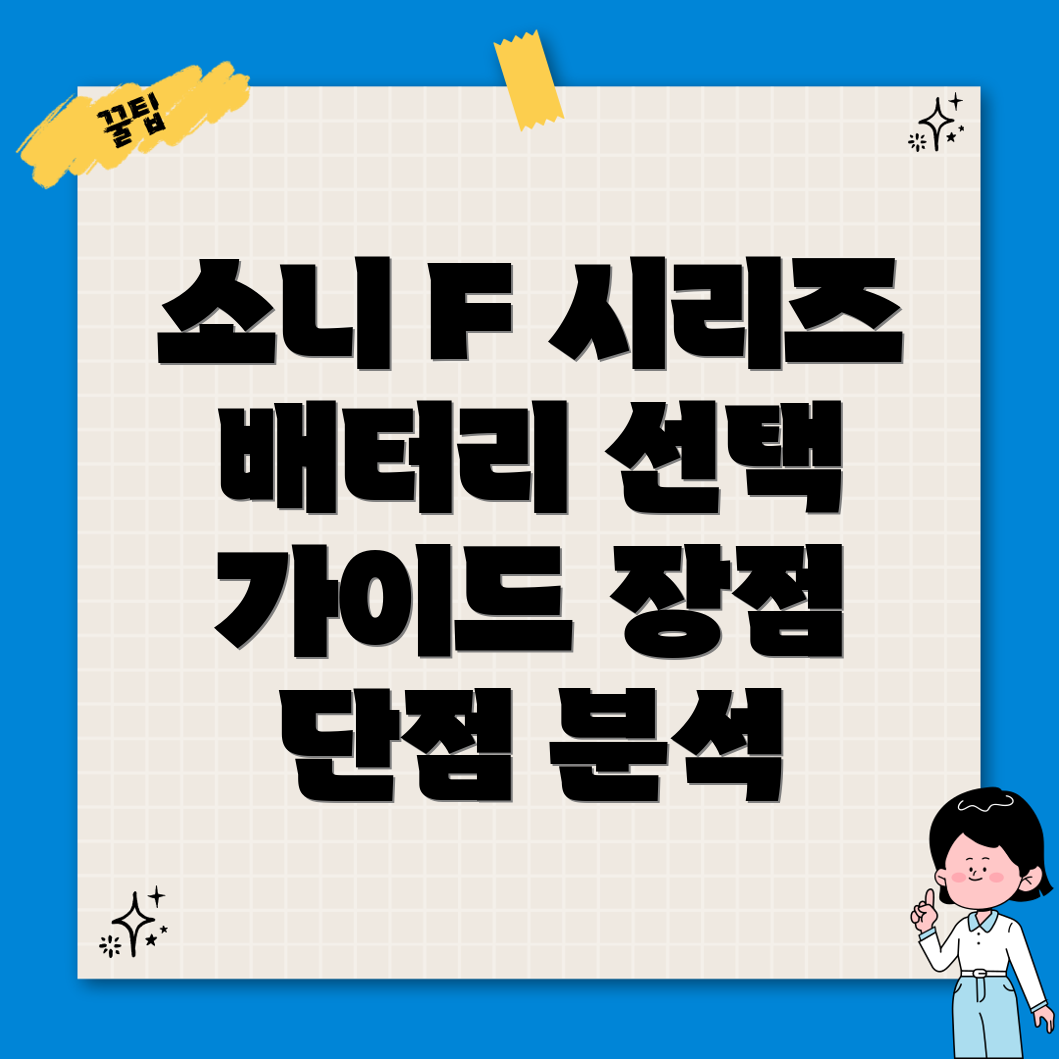 소니F시리즈배터리계절별최적선택가이드장점및단점분석
