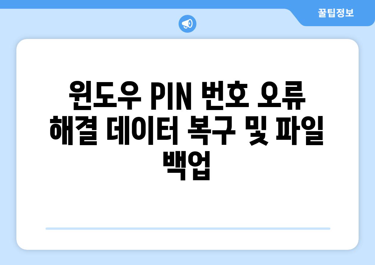 윈도우 PIN 번호 오류 해결 데이터 복구 및 파일 백업