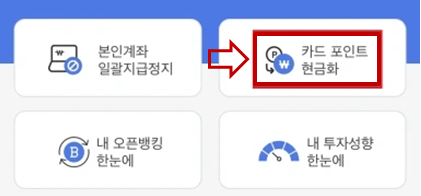 카드포인트 통합조회 현금화
