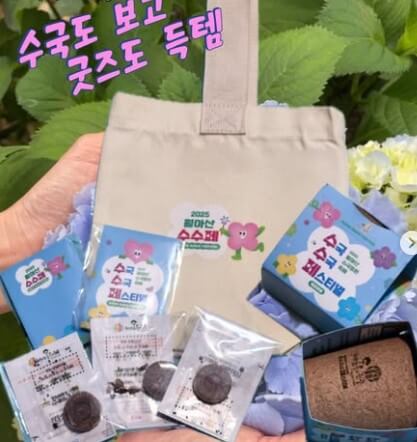 2025 진주 월아산 수국 축제