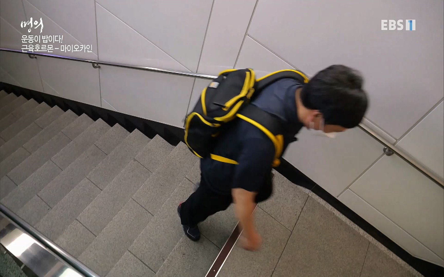 EBS 명의 헬스케어 - TV - 교육의 중심 EBS내 몸을 지배하는 7가지 호르몬 3부, 운동이 밥이다! .mp4_20220711_202505.041.jpg