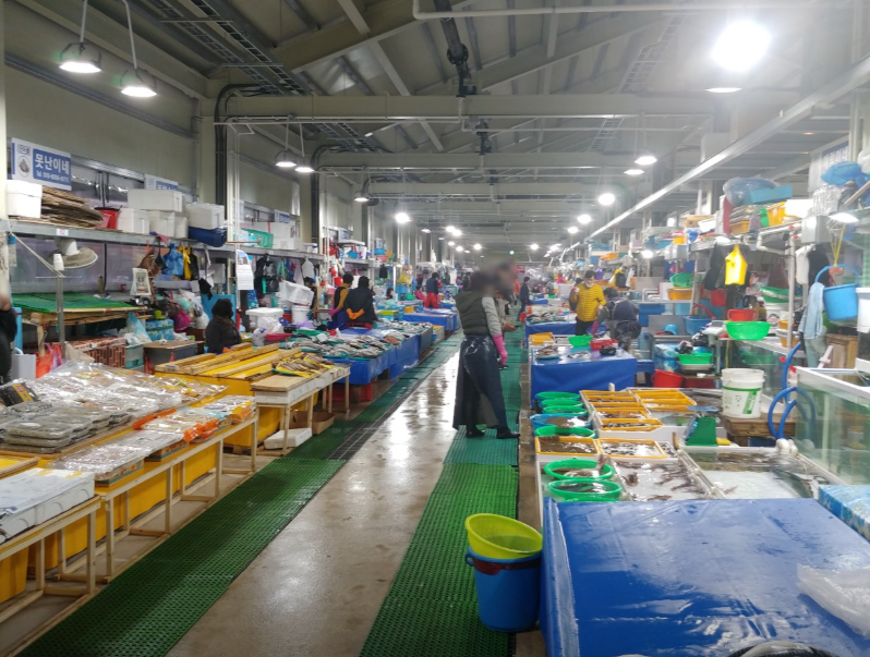 주문진 수산시장, 해산물 덕후들의 성지
